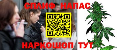 прущие грибы Конаково
